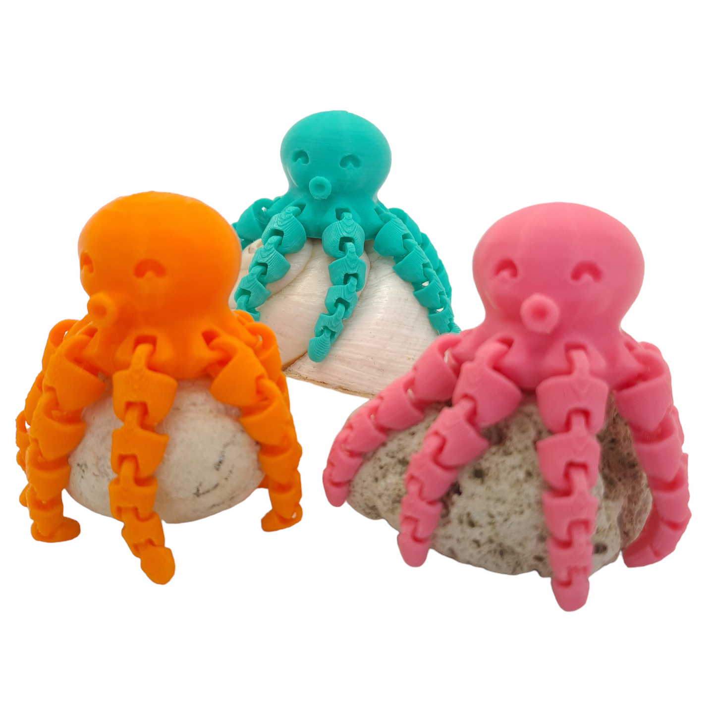 Octopus