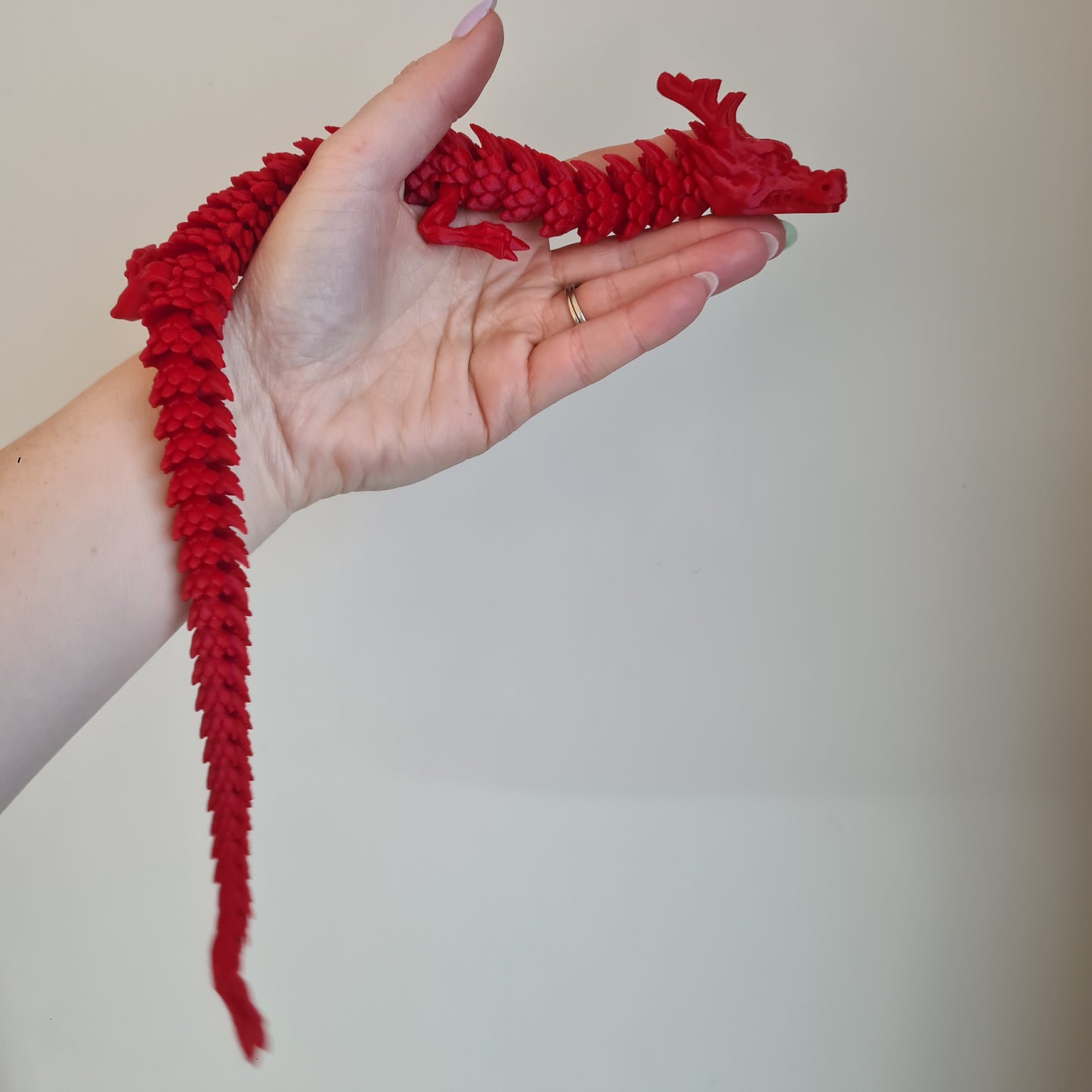 Medium Dragon Egg + Horned Dragon