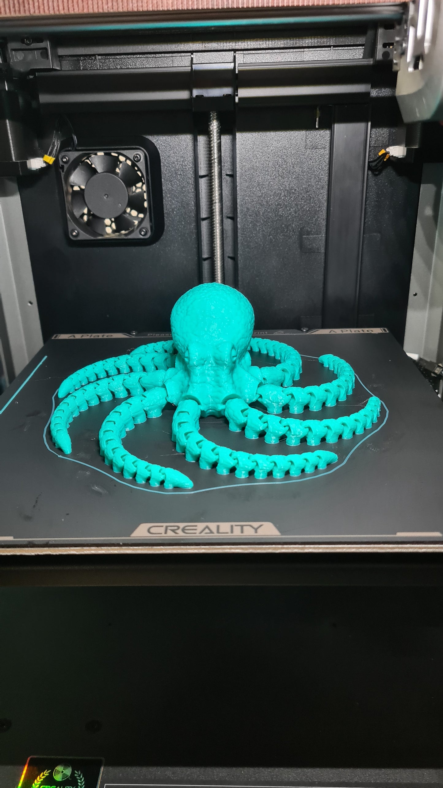 Octopus 2.0