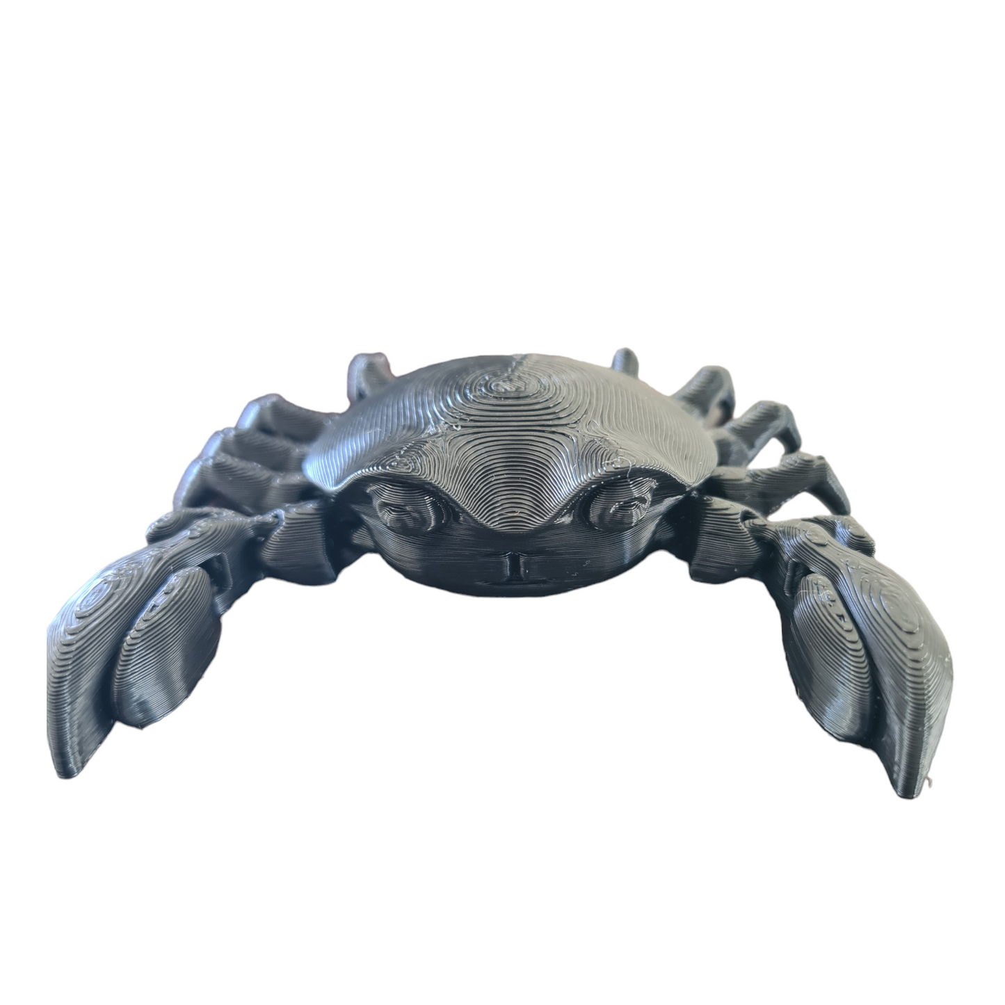 Crab