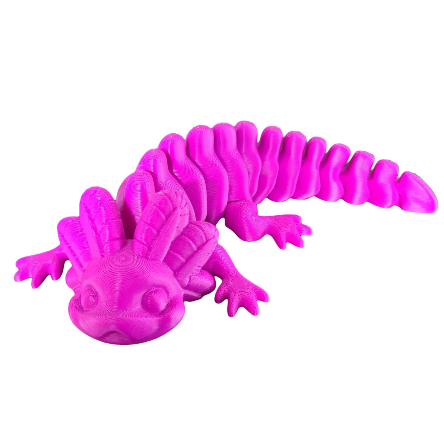 Axolotl