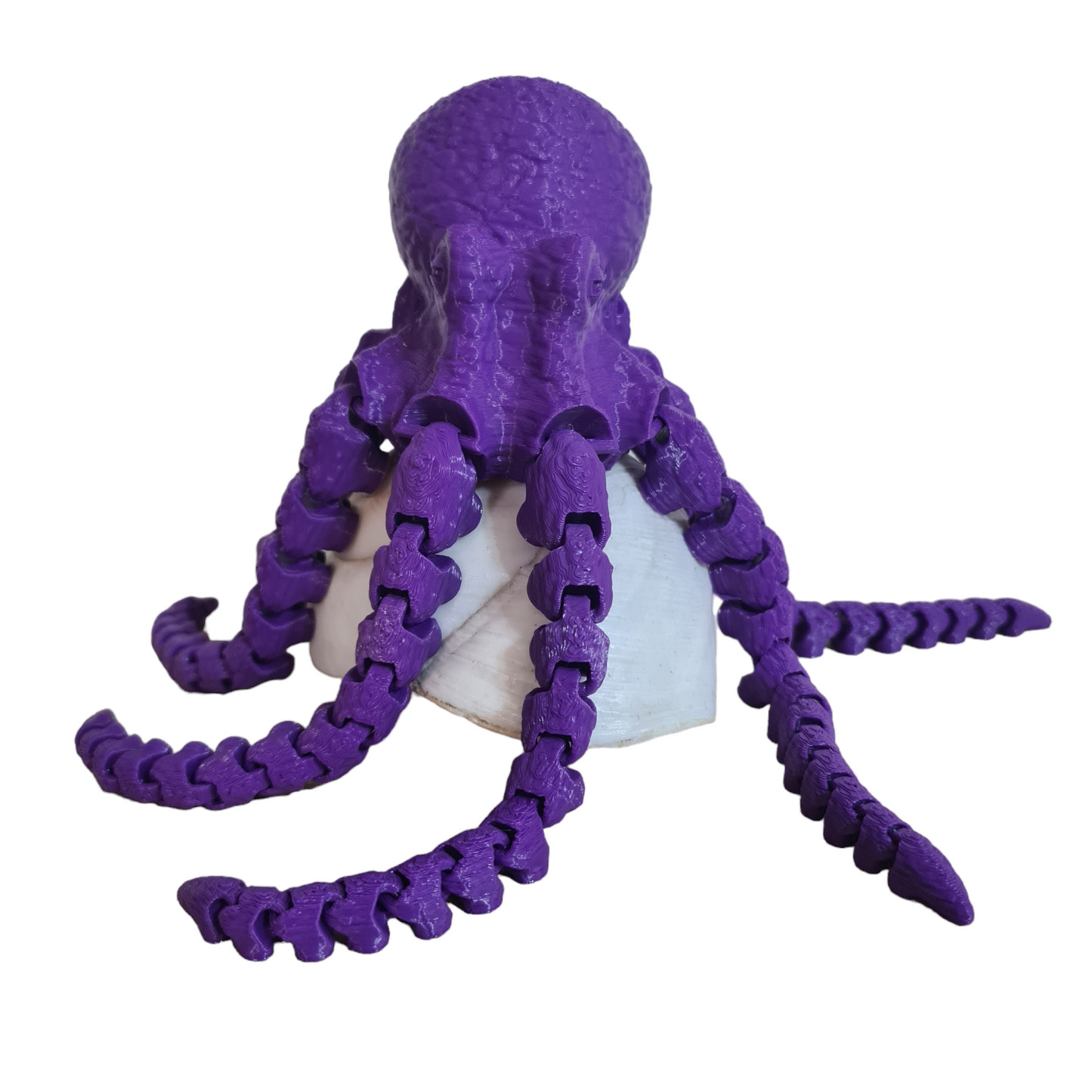 Octopus 2.0