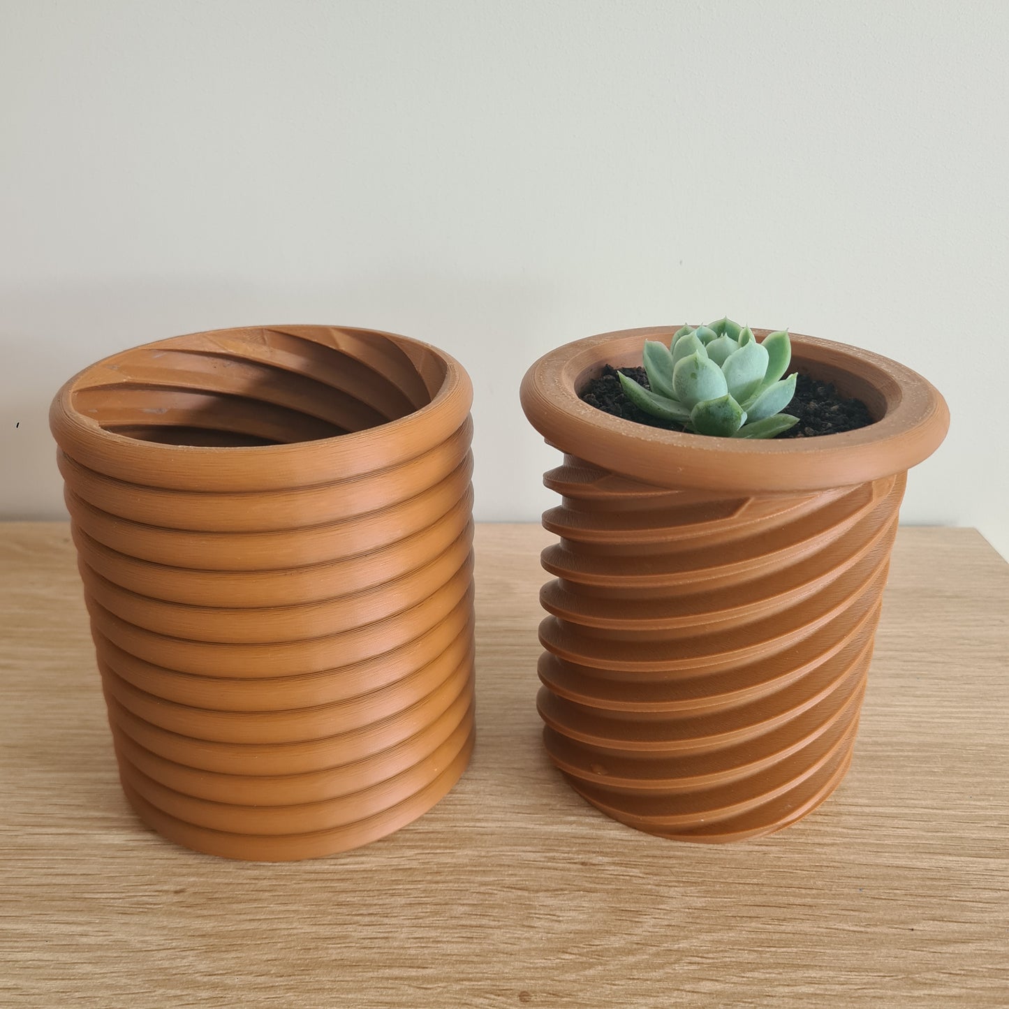 Spinny Plant Pot