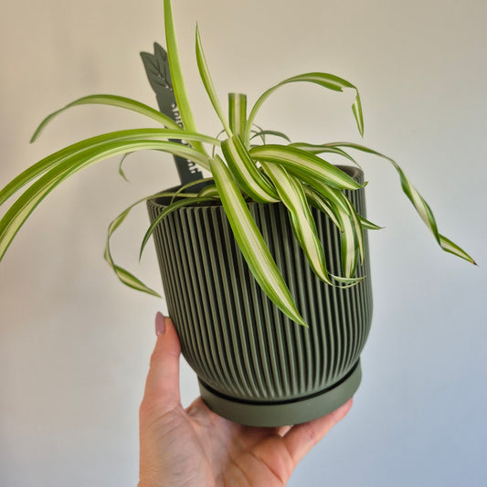 Aspire Indoor Plant Pot
