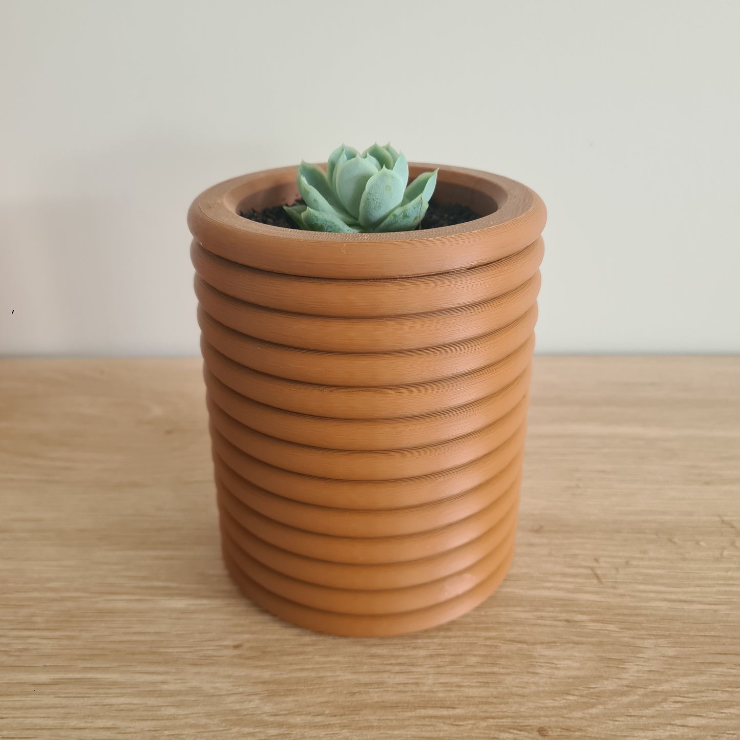 Spinny Plant Pot