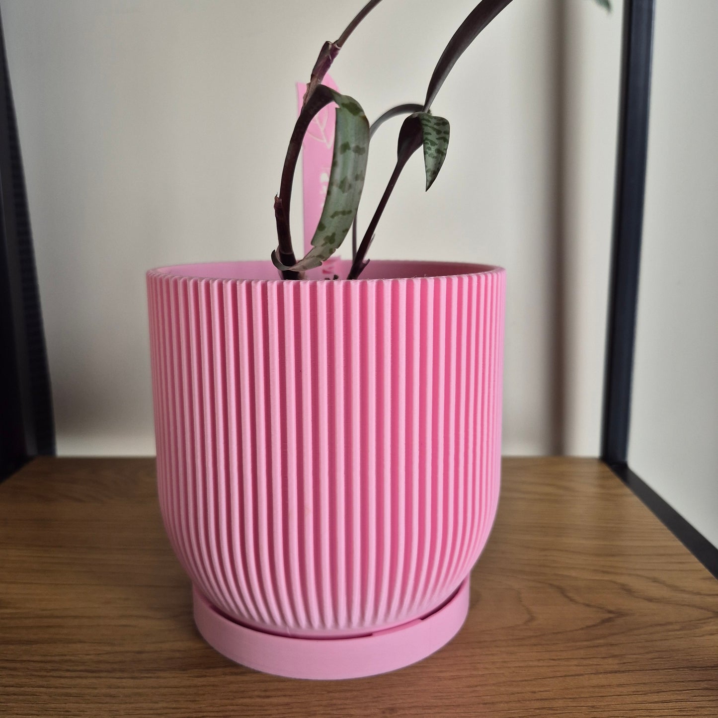 Aspire Indoor Plant Pot