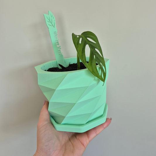 Bloom Indoor Plant Pot