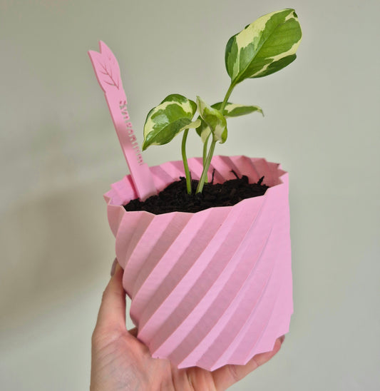Serenity Indoor Plant Pot