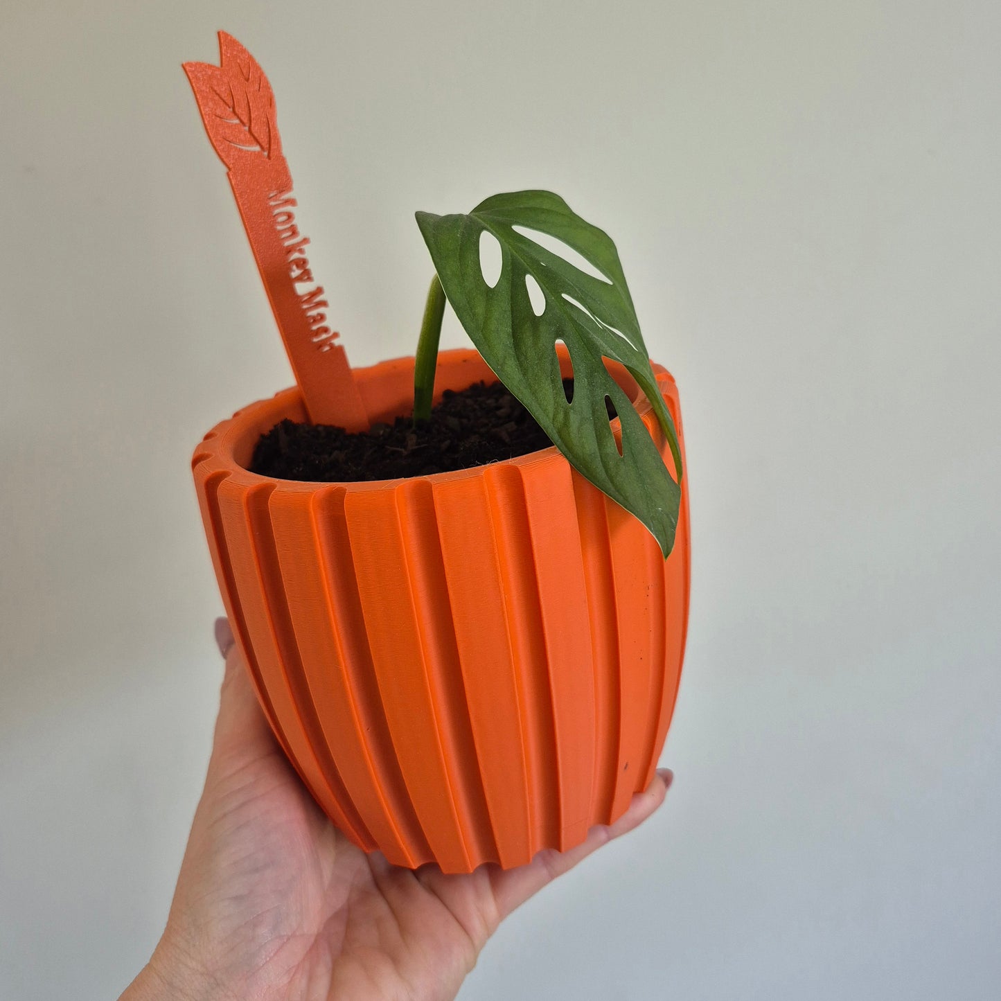 Thrive Indoor Plant Pot